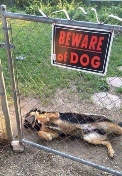 Daily Picdump