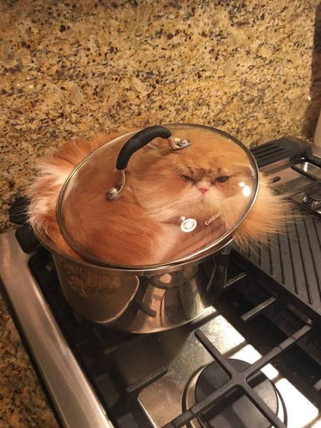 Daily Picdump [WEEKEND EDITION]