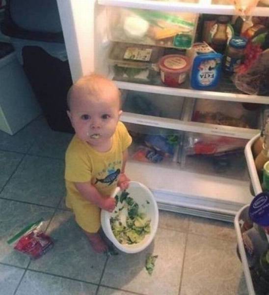 Funny Picdump