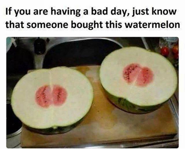 Funny Picdump
