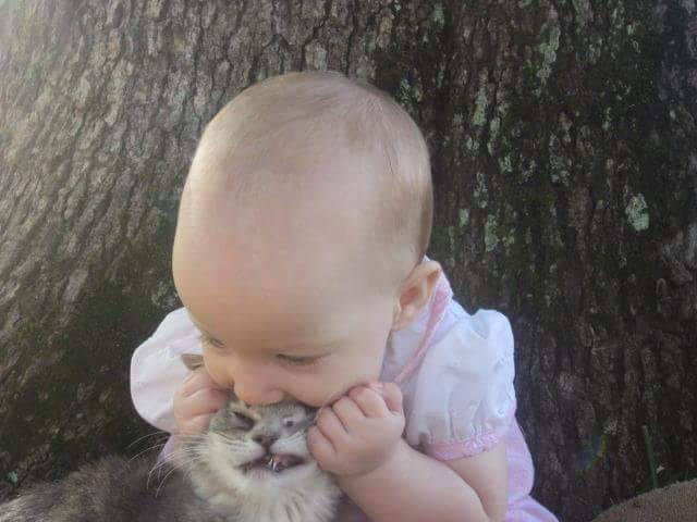Funny Picdump
