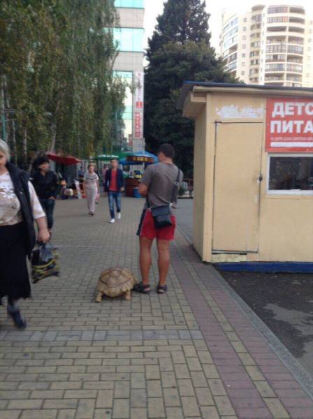 Daily Picdump