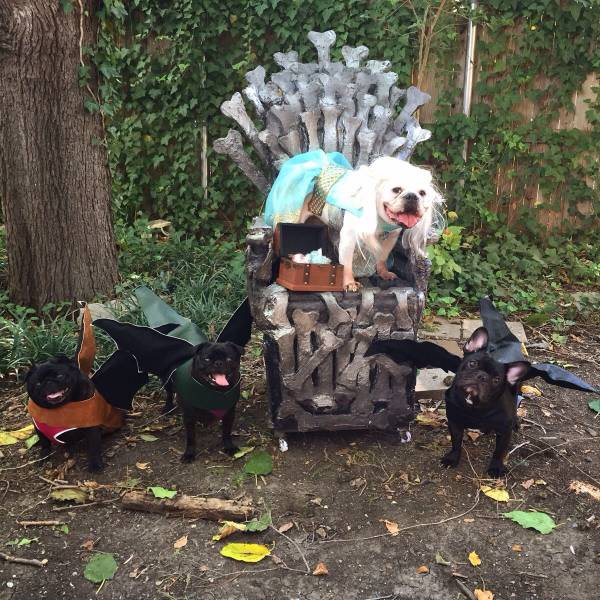 Daily Picdump