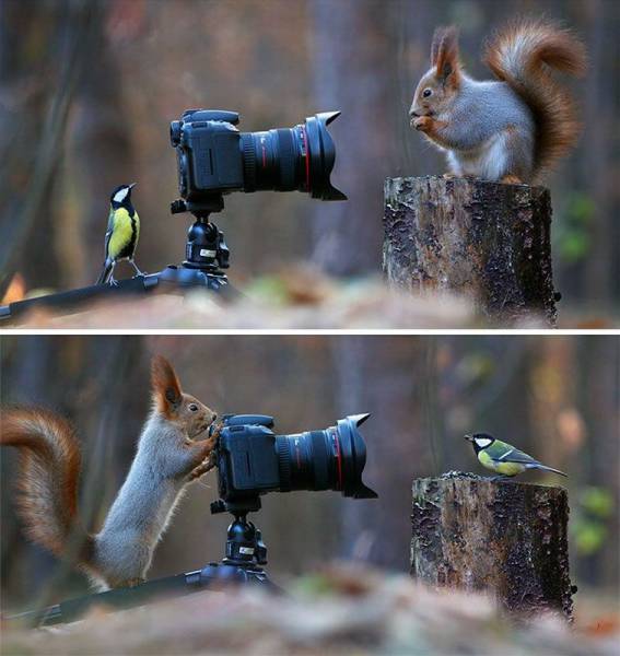 Daily Picdump