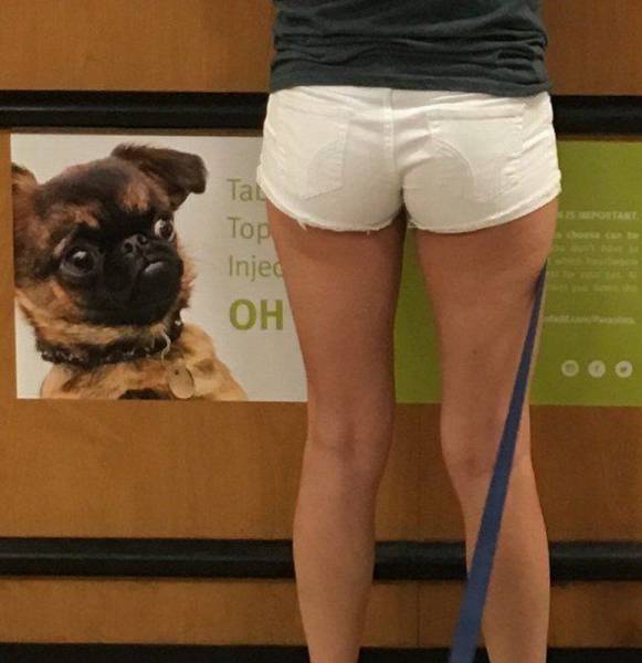 Daily Picdump