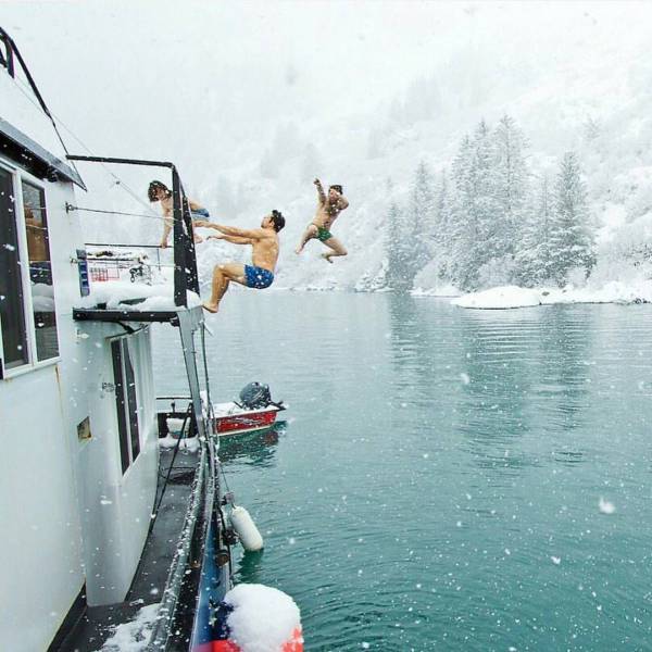 Daily Picdump