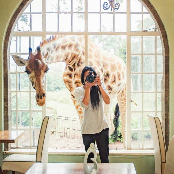 Morning Picdump