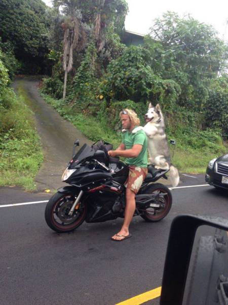 Morning Picdump