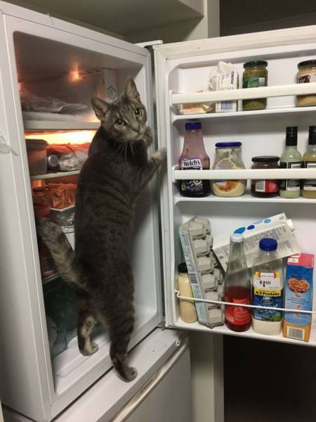 Morning Picdump