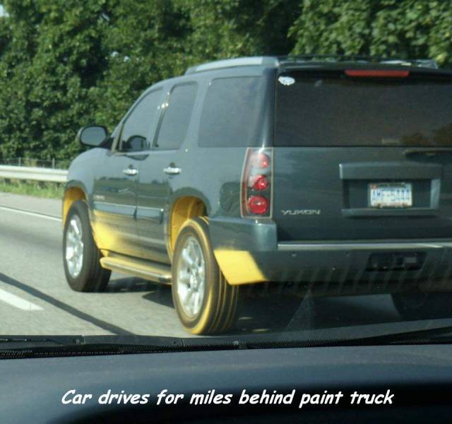 Morning Picdump