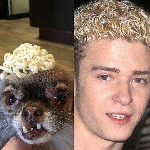 Funny Picdump