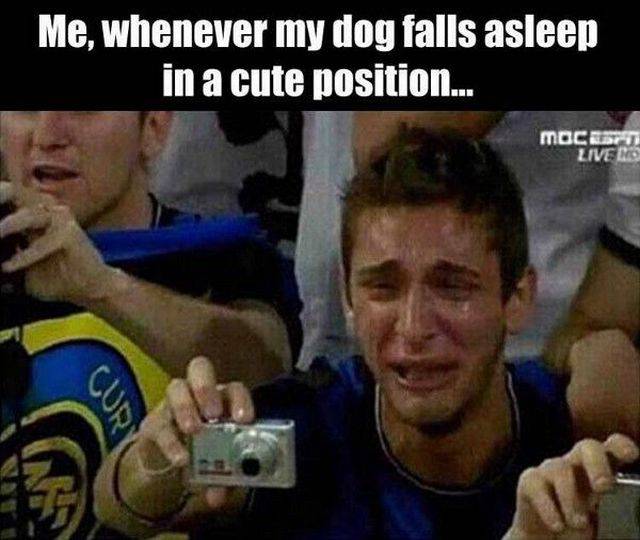 Funny Picdump