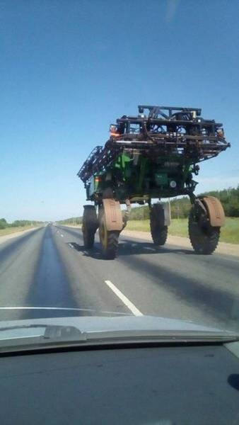 Morning Picdump