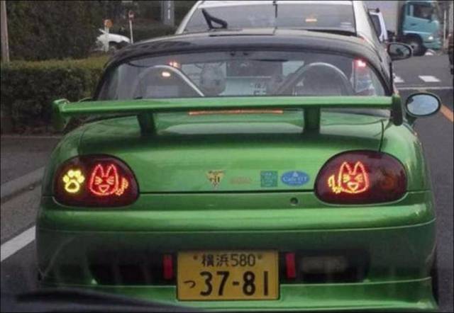 Daily Picdump