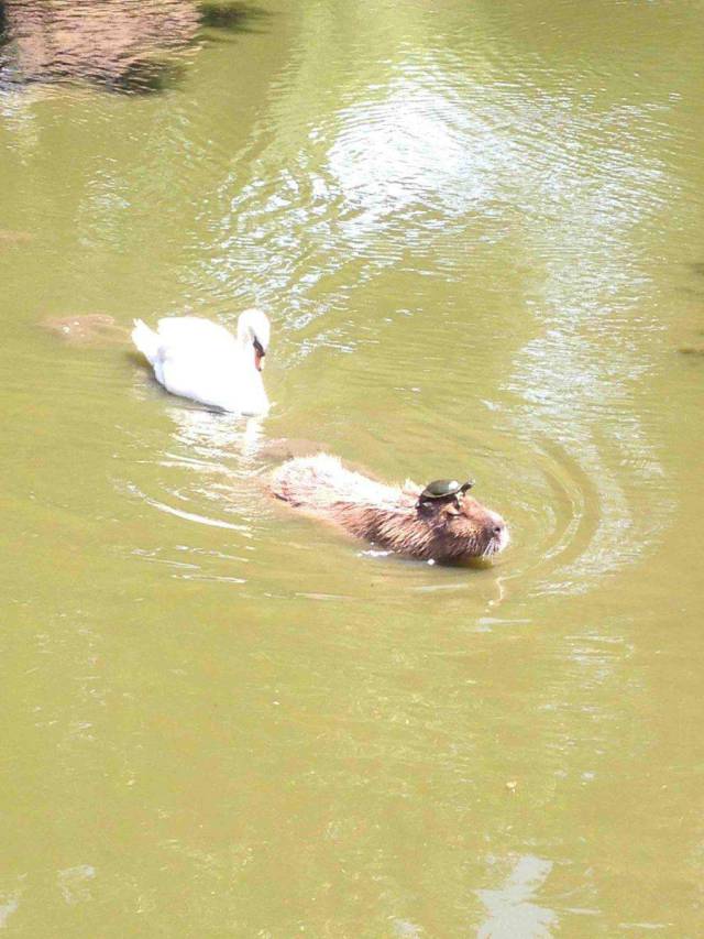 Daily Picdump