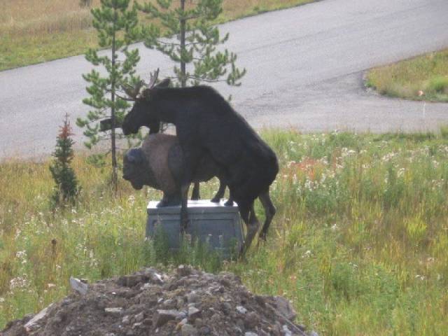 Daily Picdump [WEEKEND EDITION]