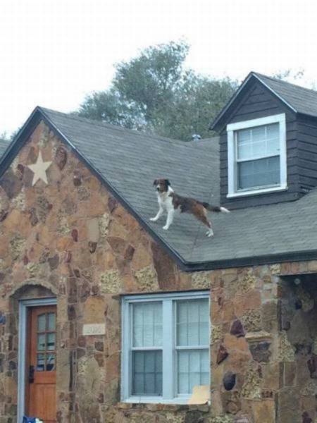 Daily Picdump [WEEKEND EDITION]