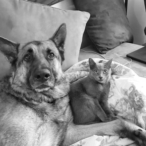 Daily Picdump