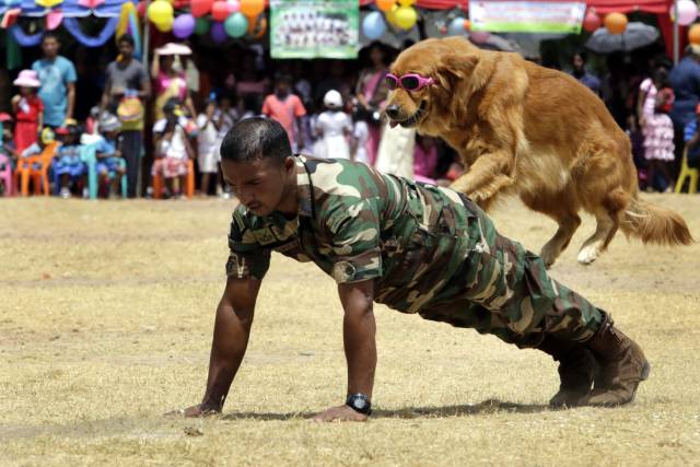 Daily Picdump