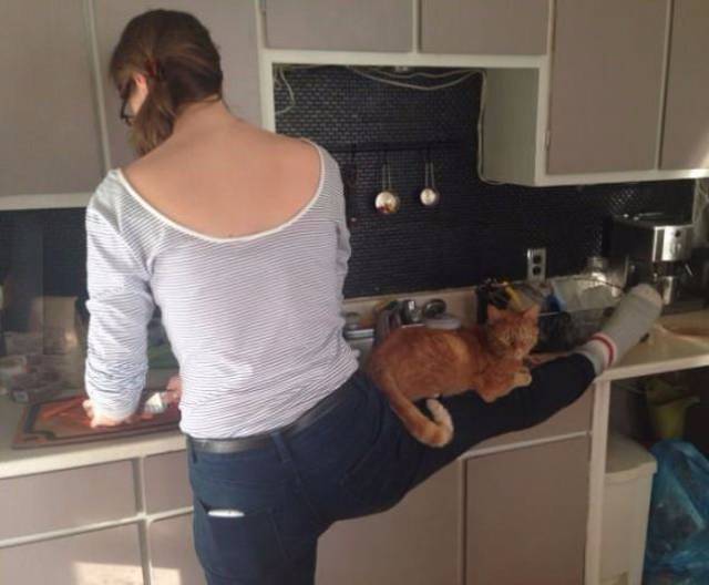 Content Image