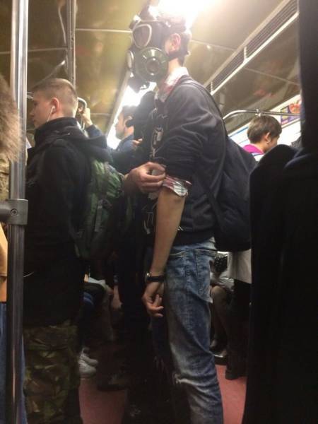 Morning Picdump