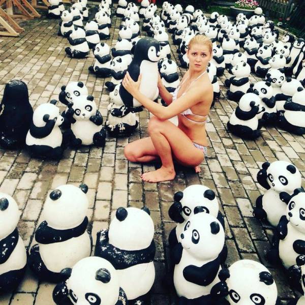 Morning Picdump