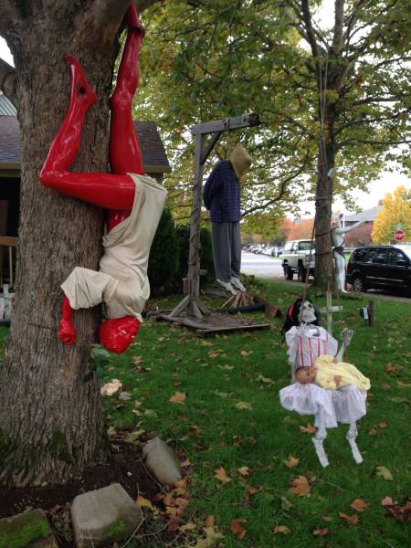 Morning Picdump