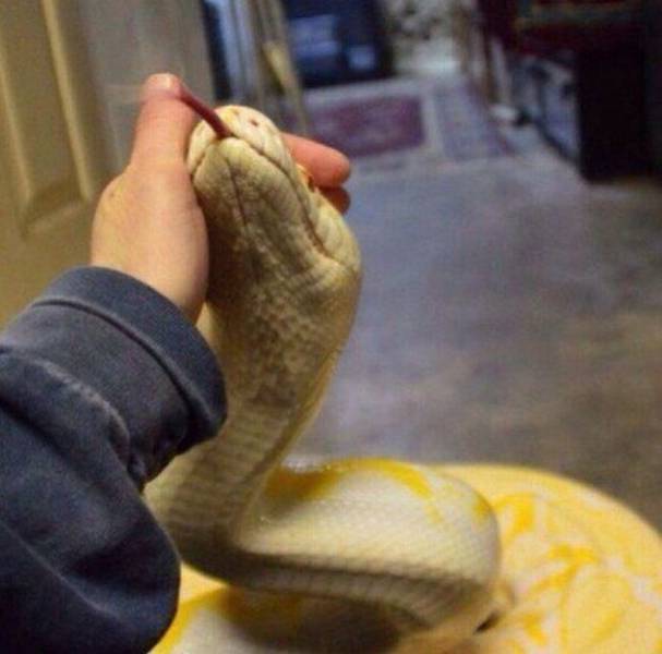 Morning Picdump