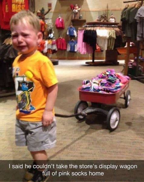 Morning Picdump
