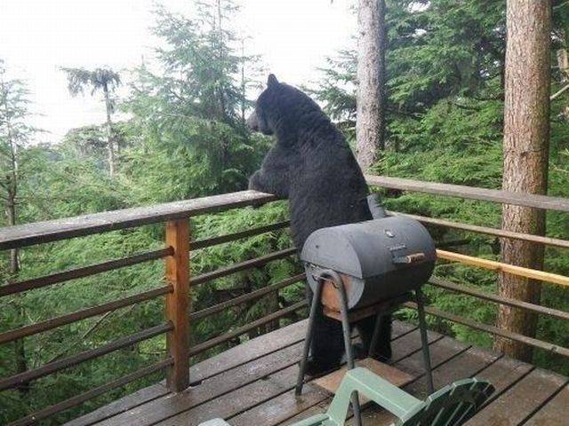 Content Image