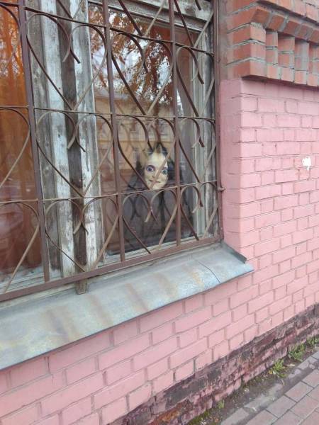 Content Image
