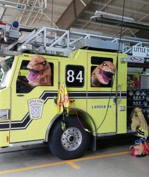 Content Image