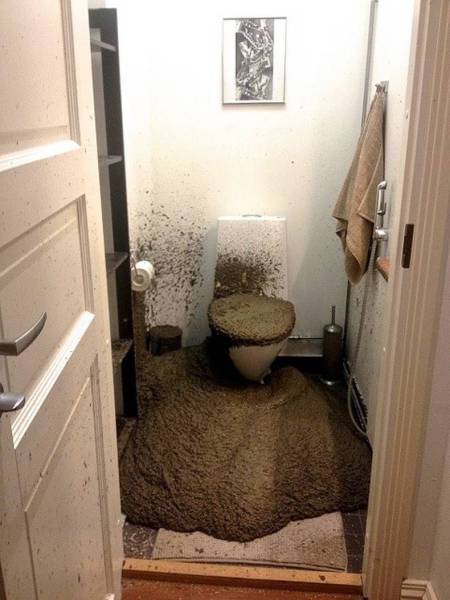 Content Image
