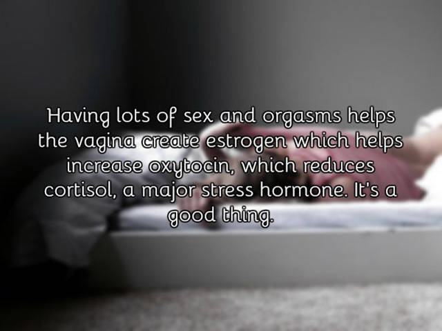 A Few Facts About Vagina You Need To Know