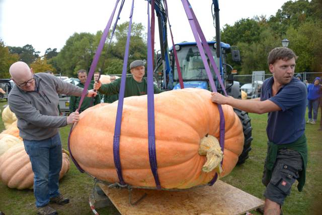 Daily Picdump