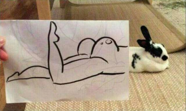 Content Image