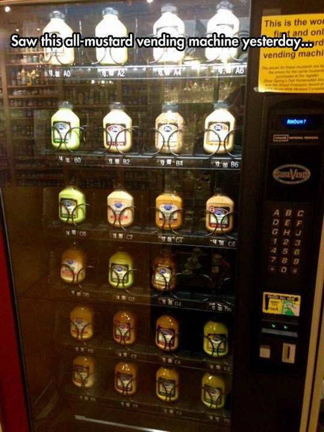 Daily Picdump