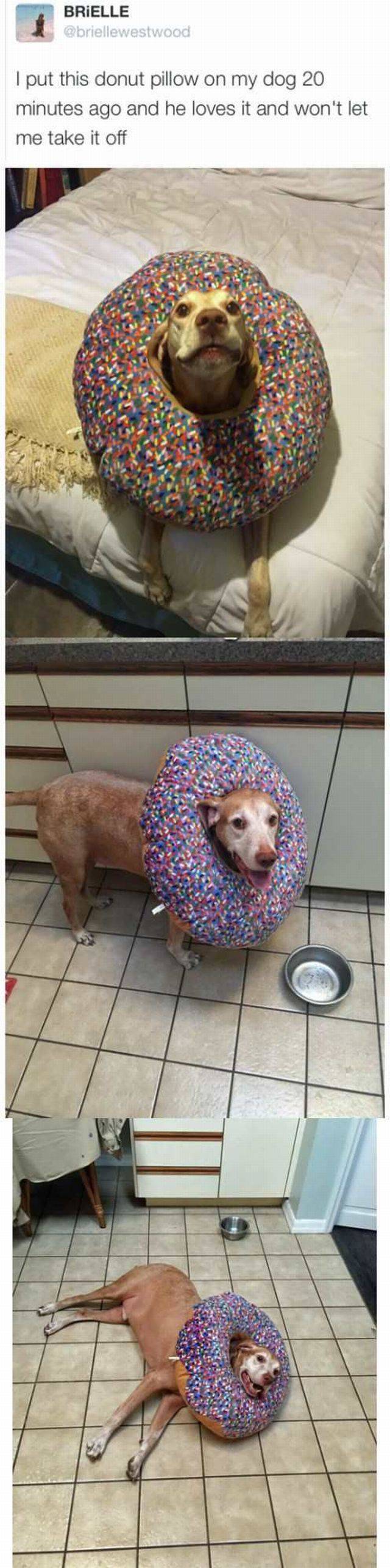 Content Image