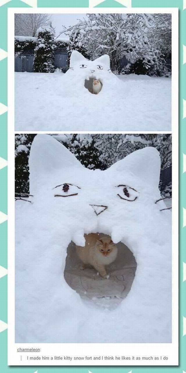 Content Image