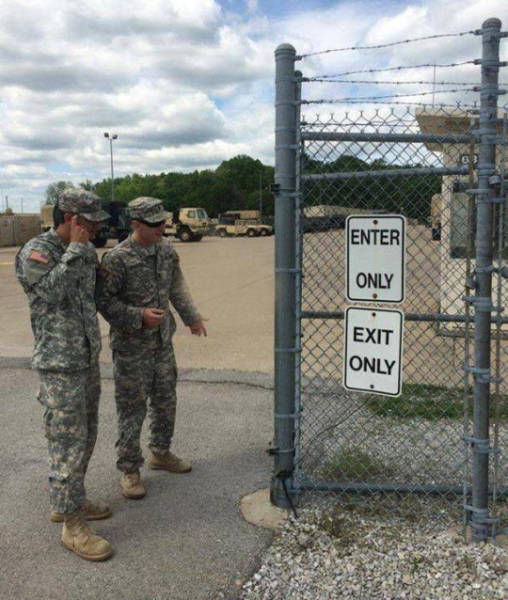 Morning Picdump