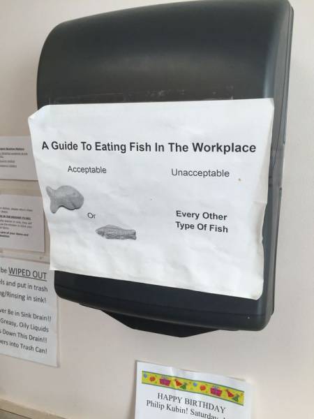 Morning Picdump