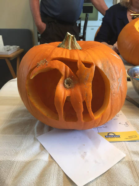 Morning Picdump