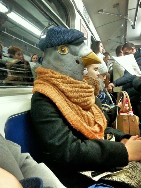 Daily Picdump