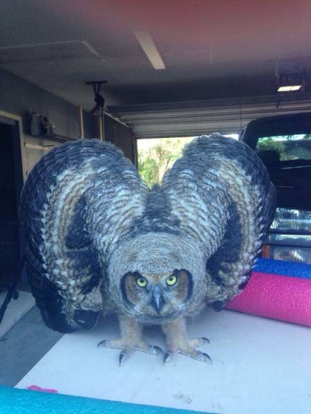 Daily Picdump