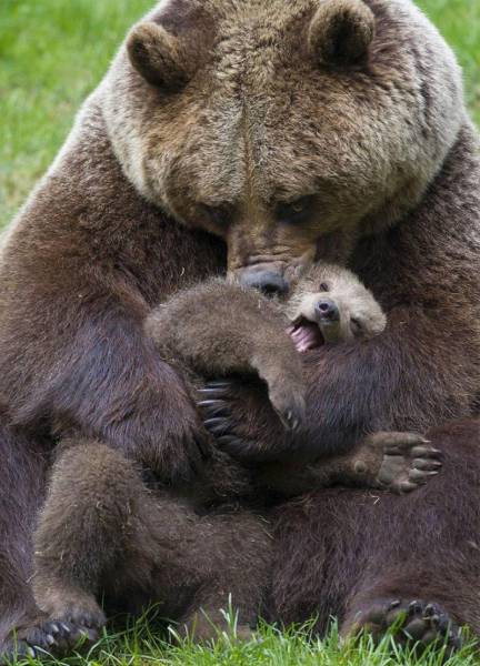 Daily Picdump