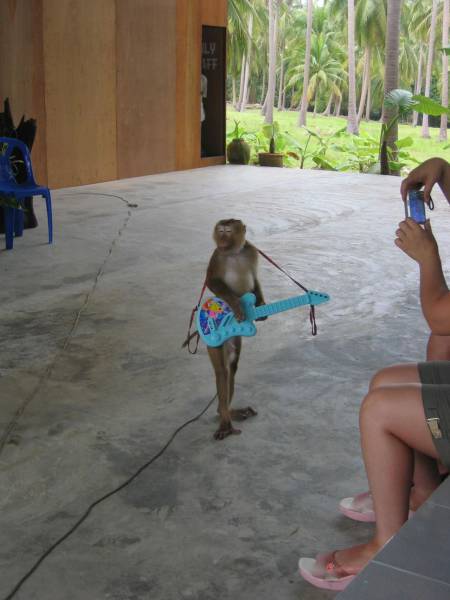 Daily Picdump