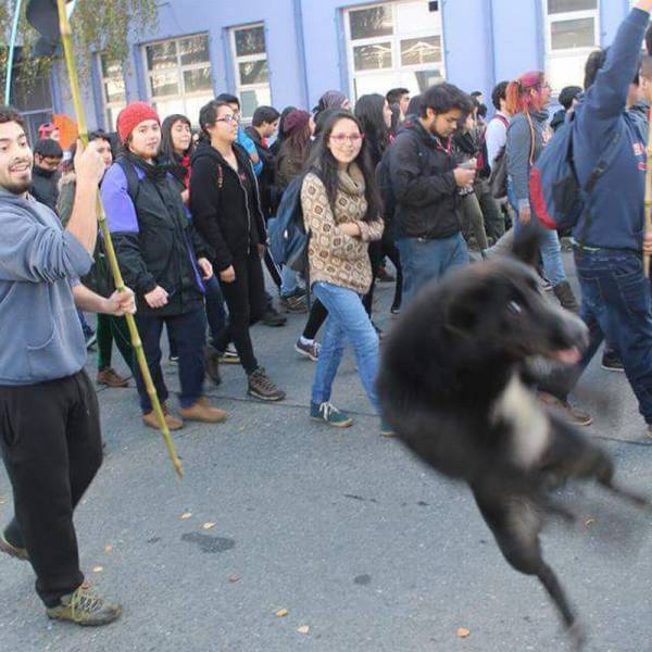 Content Image