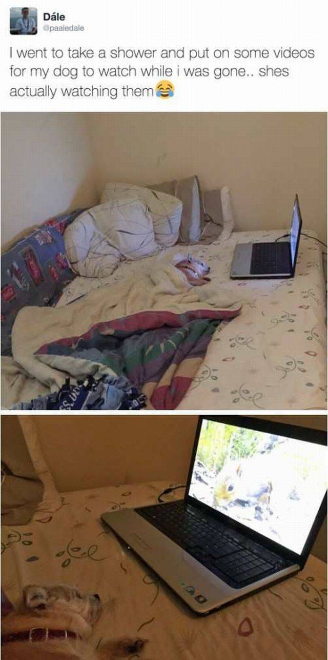 Content Image