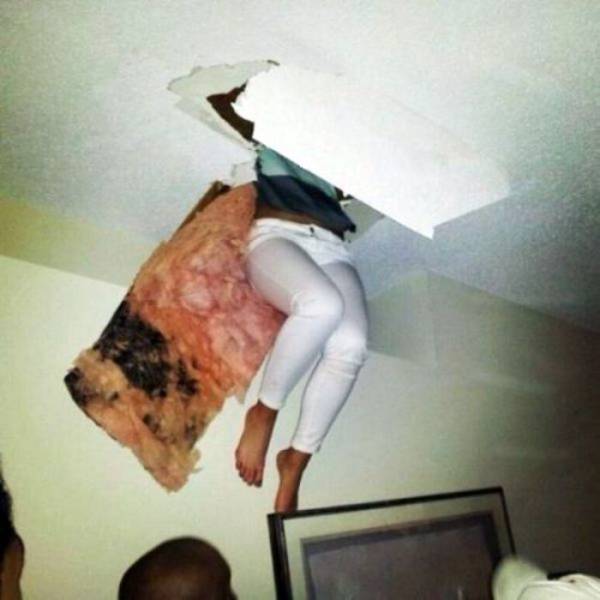 Daily Picdump