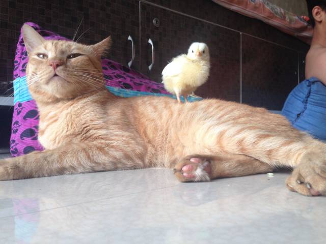 Daily Picdump